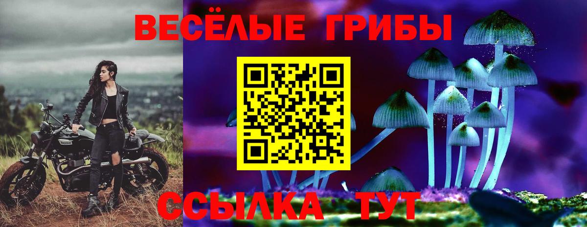 Южно-Сахалинск  Псилоцибиновые грибы мухоморы  Вход с VPN  Галлюциногенные грибы мухоморы 